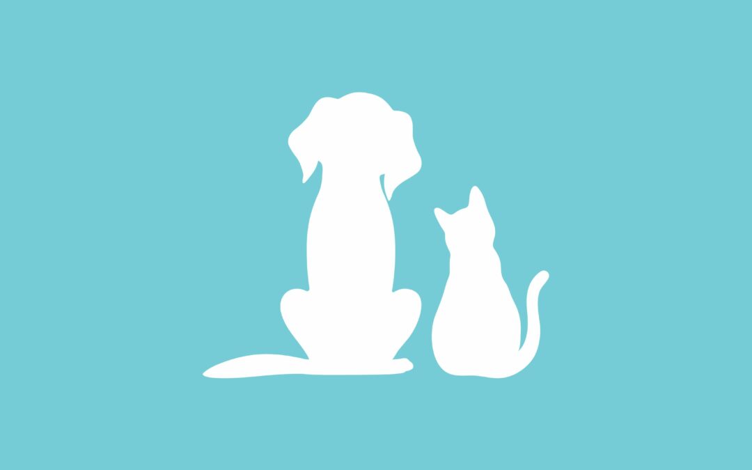 Guidelines Regarding Animals in Centre